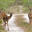 thumbs/IMG_0880.jpg